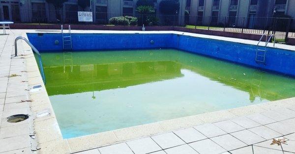 The "pool"