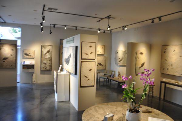 Fossil Gallery at Filsinger Fine Art, Palm Desert, CA