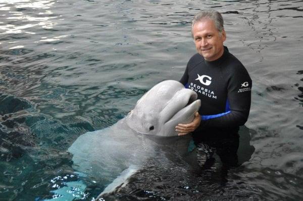 Dr, T taking a swim with a Beluga!