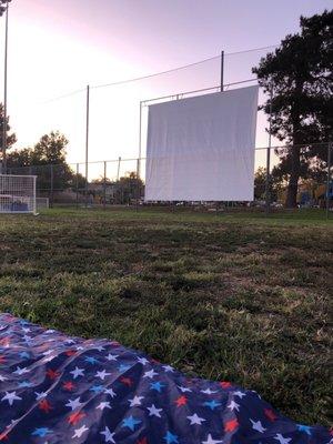 Movie in the park