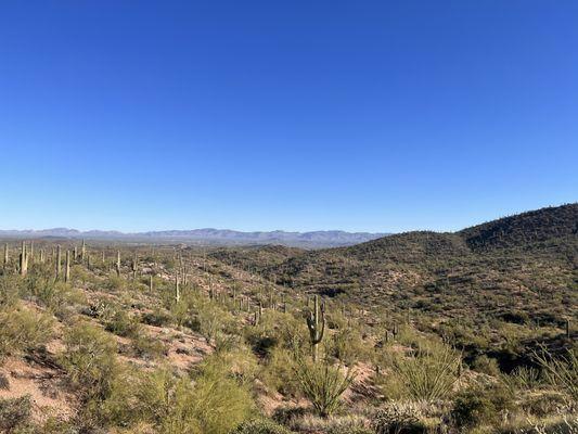 Snapshots from the  East Side of Vulture Peak Tour