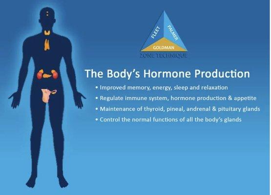 Zone 1 (Glandular Zone):  
 
 If you are tired, depressed, have reproductive issues, or insomnia, chances are your Zone 1 needs balancing.