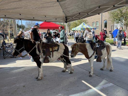 Pony Rides - adorable! (04/02/22)