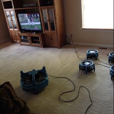 We clean your carpet and place fans for quick dry times.