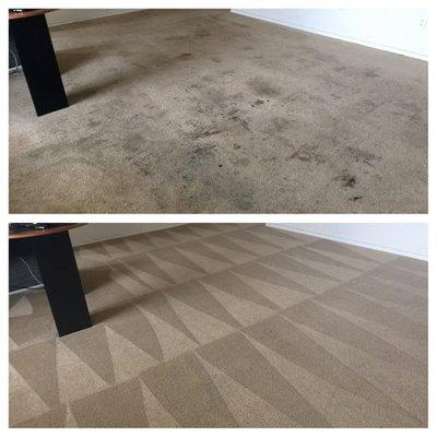 Another great job by the Discover Carpet Care team!