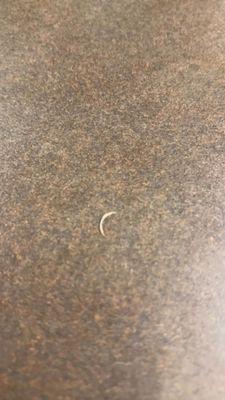 found a fingernail as soon as i sat at my table.