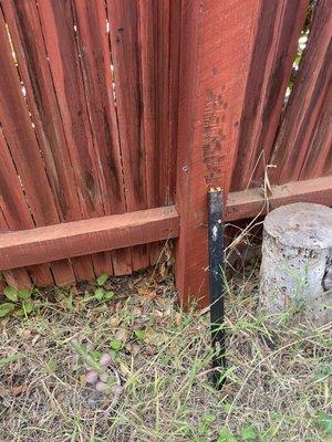 This fence was leaning!  this is after I called property mngmt to fix it. Thin sticks like rulers propping up the posts