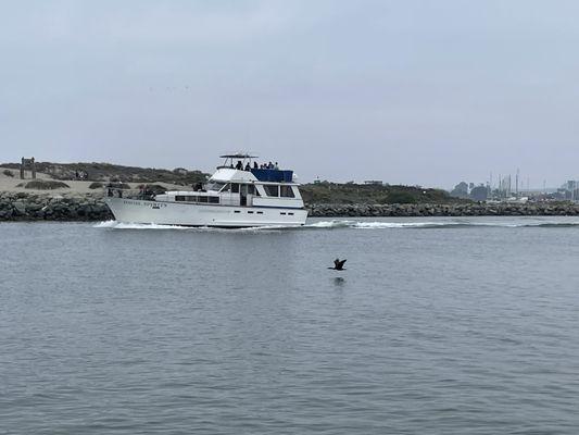 The boat to adventure! Whale watching crew on board!