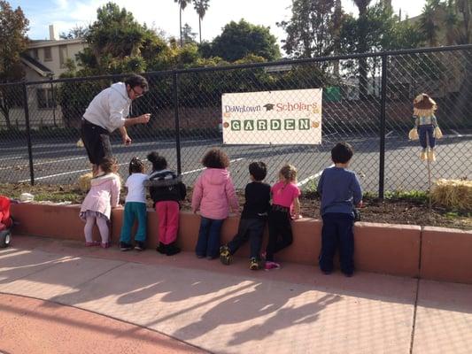 tending to our garden