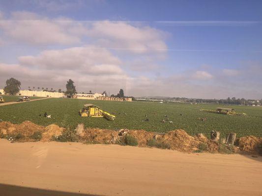 Views of the agricultural fields along the way