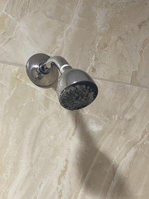 Shower head