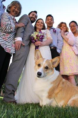 Happy wedding guests