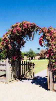 Love the floral archway.