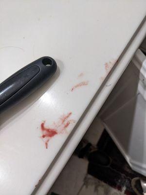 HUMAN BLOOD LEFT ALL OVER MY BATHROOM BY THIS PLUMBER