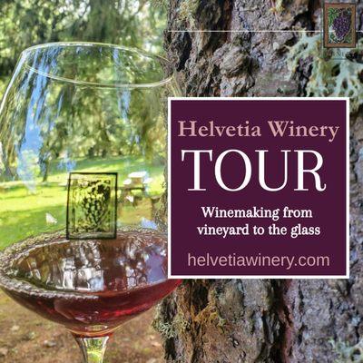 Learn about the importance of terroir, barrel aging, food pairing, and vintage.  Tours booked on our website.