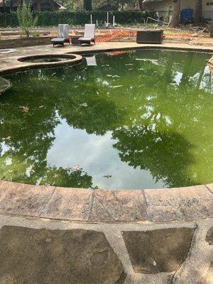 These are photos 1 day after they said the pool was cleaned by their service technician.