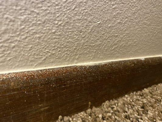 The baseboards were never wiped down.