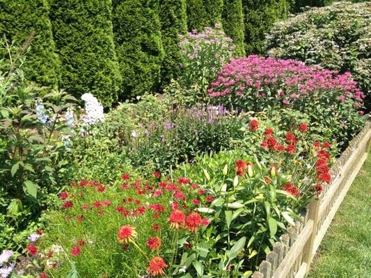 Perennial gardens maintained and installed.