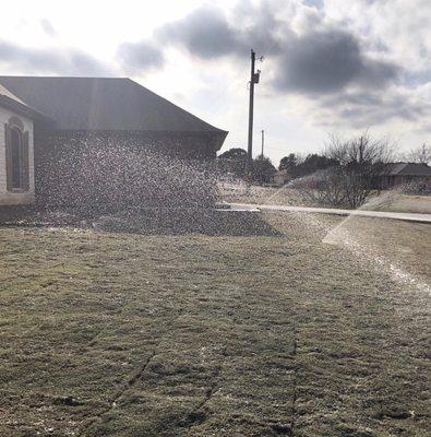 Post irrigation install, sprinklers running with new Sod laid