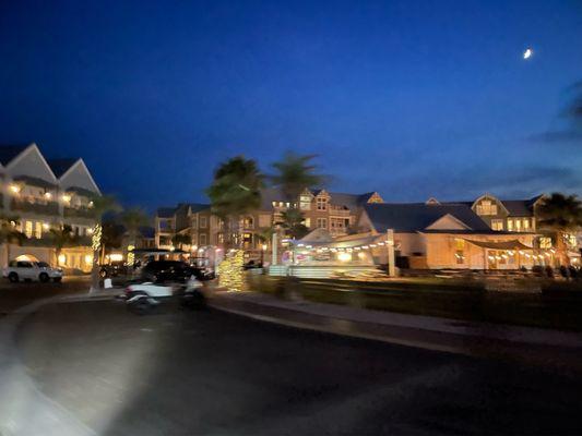 Cinnamon shore at night