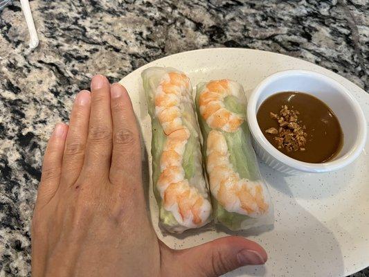 Tiny spring rolls, I do not recommend