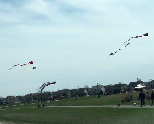 Earth Day Kite Fly 2019