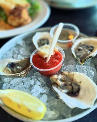 Freshly Shucked Oysters