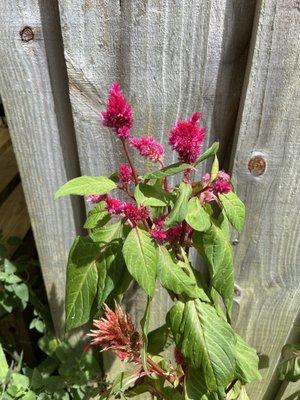 The beauty in nature found on the property