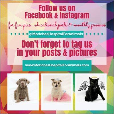 Follow us on Facebook and Instagram