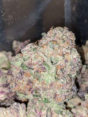 Grape Soda Kush