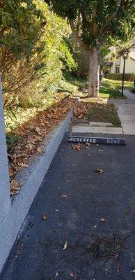 Night Sweeps blew street debris into landscaping instead of in the center of the street.