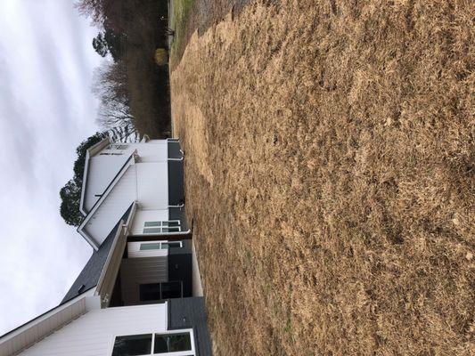 Bermuda sod install