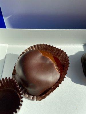 Yummy dark chocolate apricot