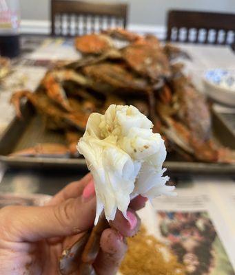 Home cooked Large Maryland Blue Crabs