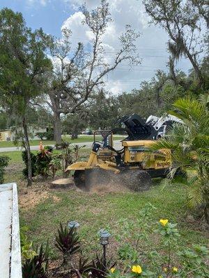 Grinding a tree Stump