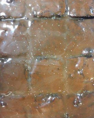 Salted Caramel Brownies