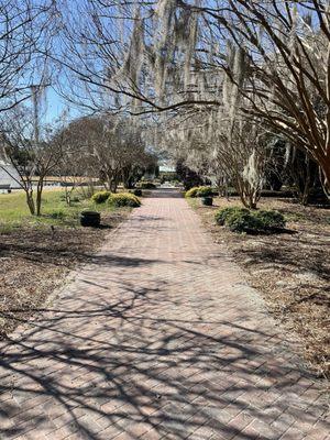 A trail in the garden