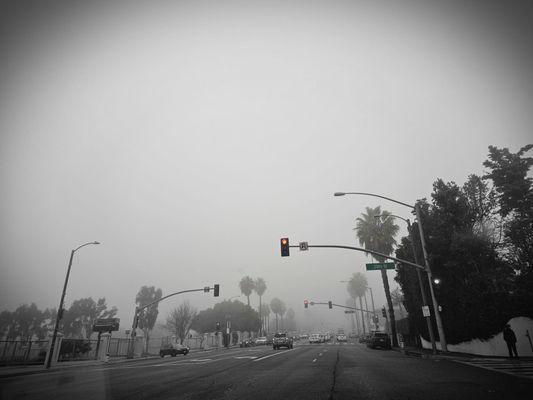 Behind that foggy mist, there's TACOS-TUESDAY