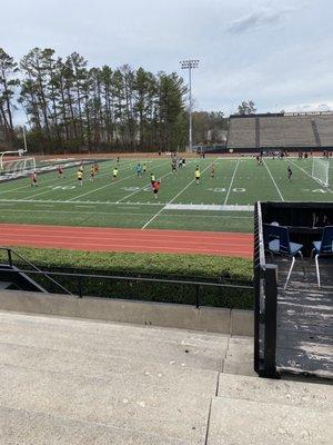 Sprayberry's field