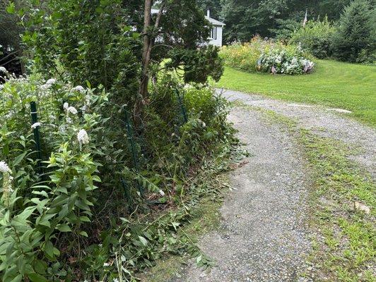 Destroyed fence and garden.