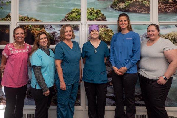 Meet out Hygienists