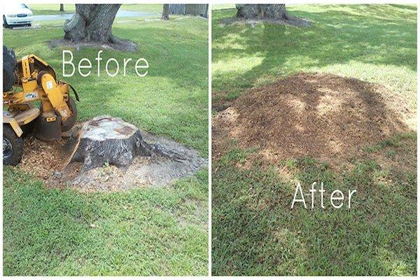 Tree Stump Grinding...call us at 920-355-3355!