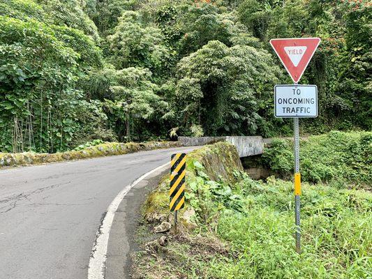 This is a very common scene on Hana Highway, yielding to oncoming traffic when driving over one-lane bridges.