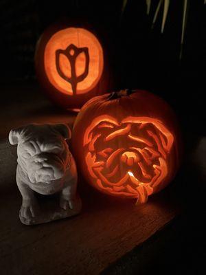 Seattle Home Instead Pumpkins -  Logo and office Mascot - Louie the Bulldog.