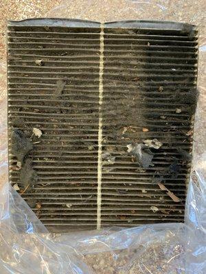 Clogged up cabin filter