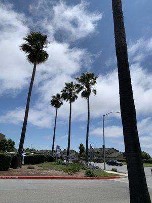 Landscaping and entrance to the plaza