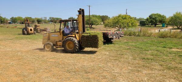 Grass residential & commercial services