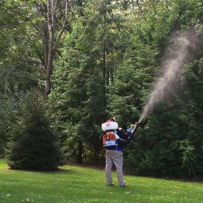 Grow Pros Lawn Care, LLC