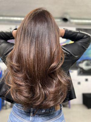 Golden Brown Hair Color with Blowout/Styling