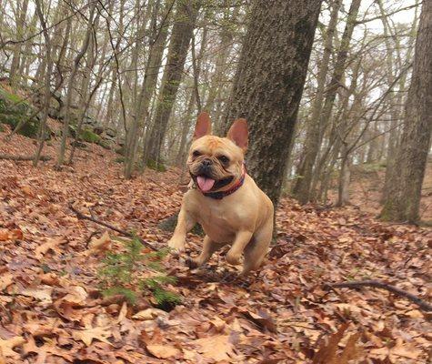 Pinch on a hike!